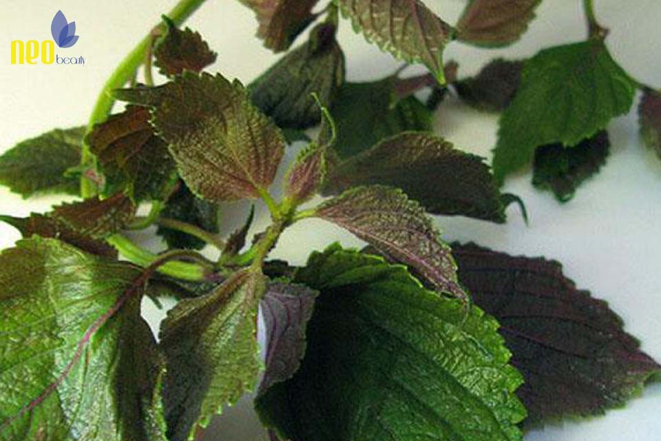 cach tri mun cam 7